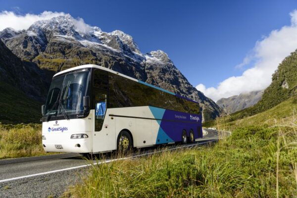 From Queenstown: Milford Sound Tour and Cruise With Lunch - Important Information for a Smooth Trip