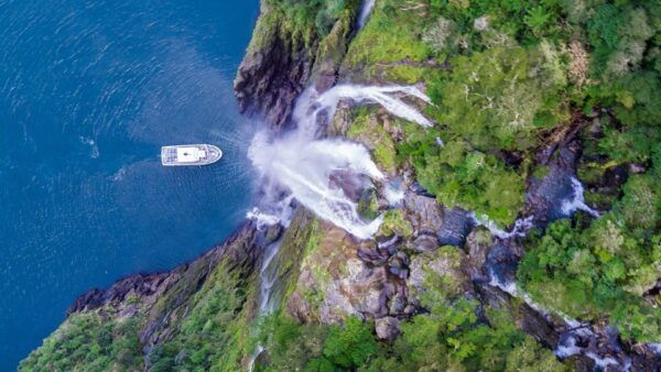 From Queenstown: Milford Sound Tour and Cruise With Lunch - Similar Milford Sound Day Trip Options