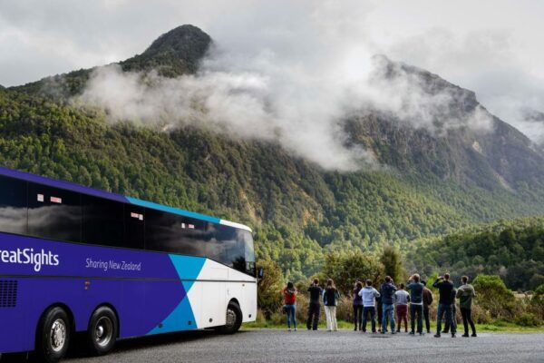 From Queenstown: Milford Sound Tour and Cruise With Lunch - Common Questions
