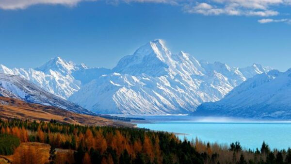 From Queenstown: Mount Cook Heli-Hike and Tour Combo - Customer Reviews