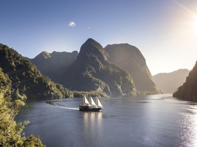 From Queenstown: Premium Doubtful Sound Wilderness Day Trip - Itinerary Overview