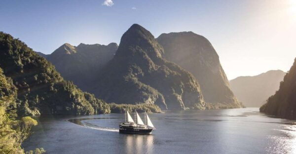 From Queenstown: Premium Doubtful Sound Wilderness Day Trip - The Sum Up