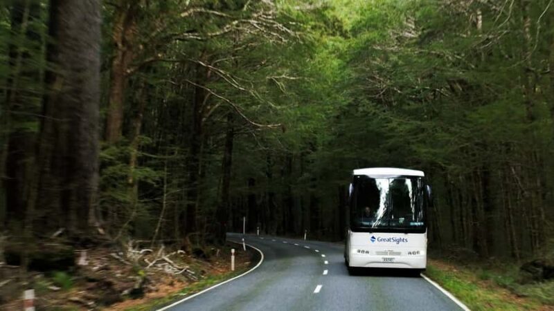 From Queenstown: Scenic One-Way Tour to Franz Josef - Good To Know