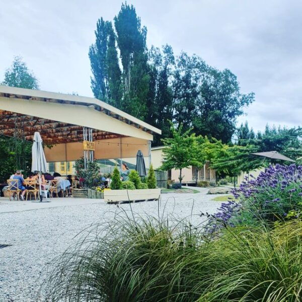 From Queenstown: VIP Drop & Hop Wine Tour - The Sum Up