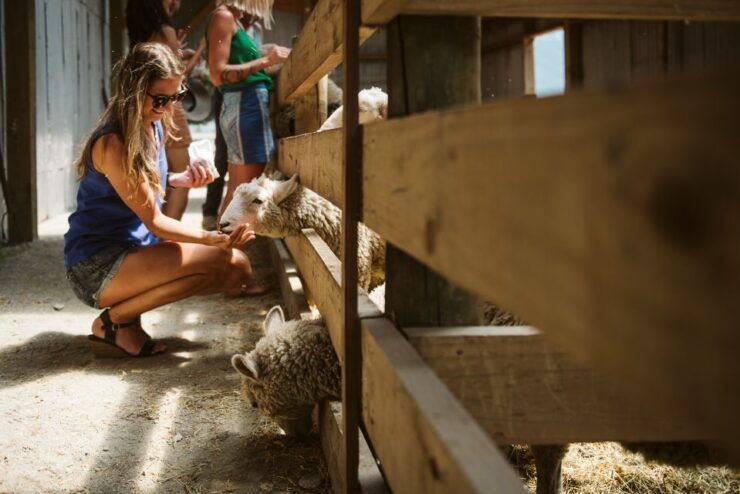 From Queenstown: VIP Glenorchy & Paradise Expedition - Activity Details