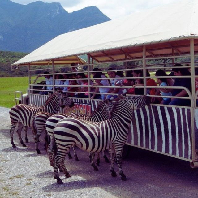 From Querétaro Bioparque Estrella - Unique Experiences at the Park