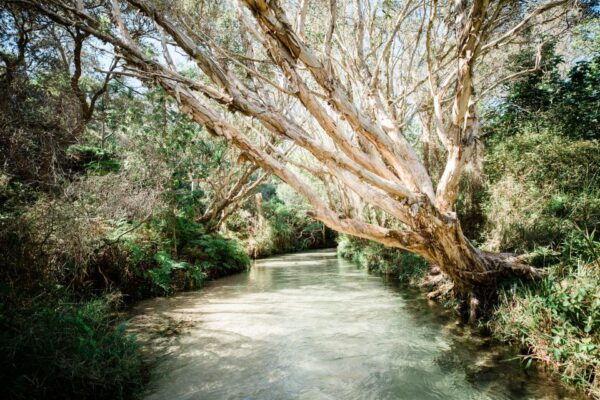 From Rainbow Beach: K'gari Fraser Island Full-Day Coach Tour - Common Questions