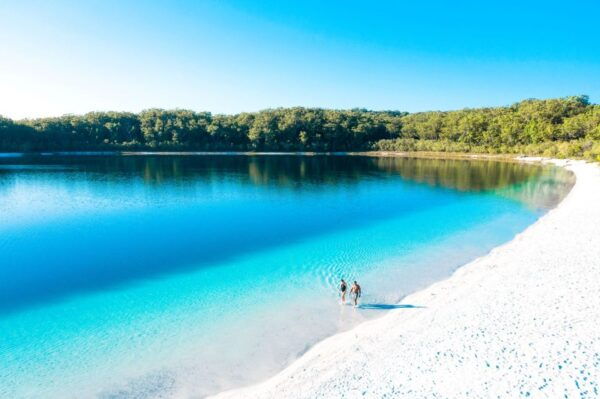 From Rainbow Beach: K'gari Fraser Island Full-Day Coach Tour - The Sum Up