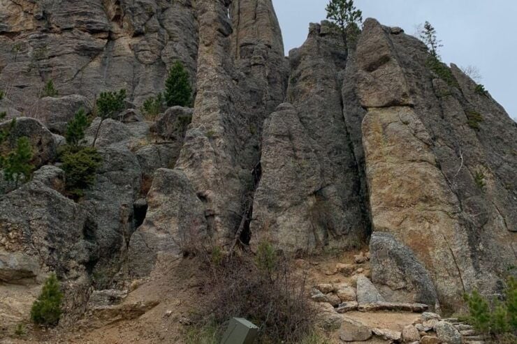 From Rapid City: Custer State Park Private Safari and Hiking - Activity Details