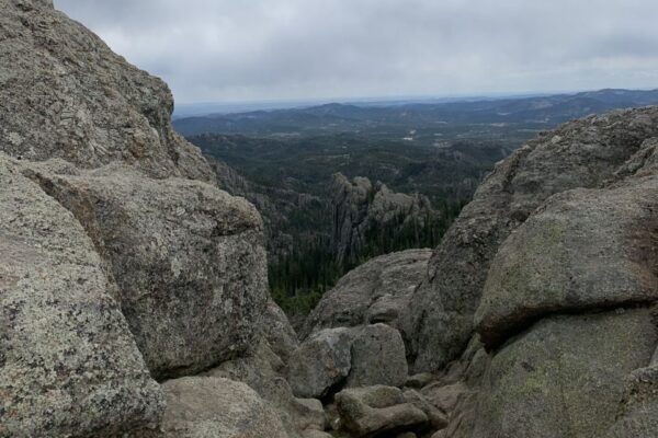 From Rapid City: Custer State Park Private Safari and Hiking - The Sum Up