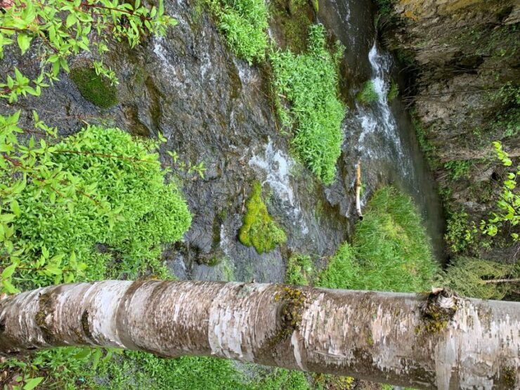 From Rapid City: Private Spearfish Canyon Tour - Experience