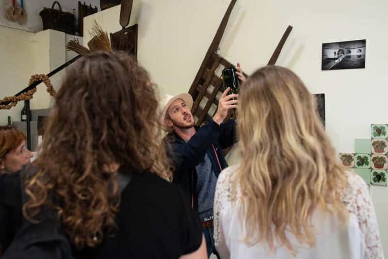 From Reims: Champagne Afternoon E-Bike Tour - Pricing and Value