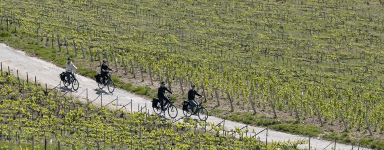 From Reims: Champagne Afternoon E-Bike Tour - What to Expect on the E-Bike Ride