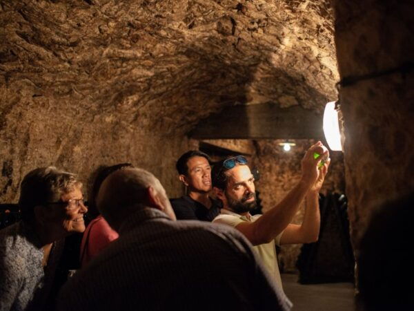 From Reims: Champagne and Family-Run Wineries Tour - The Sum Up