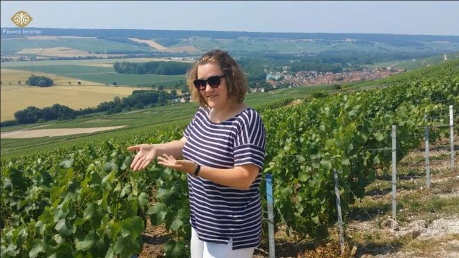 From Reims: Champagne Day Trip With 6 Tastings - Full Description