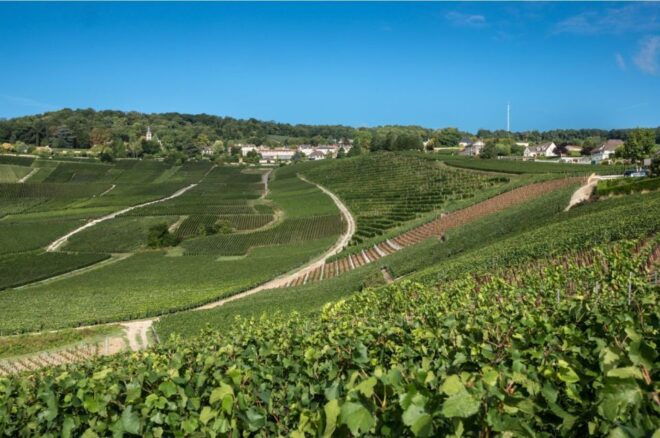 From Reims: Champagne Day Trip With 6 Tastings - Review Summary