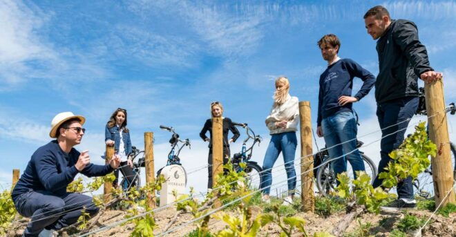 From Reims: E-Bike Champagne Day Tour and Lunch - Visiting Historic Sites and Vineyards
