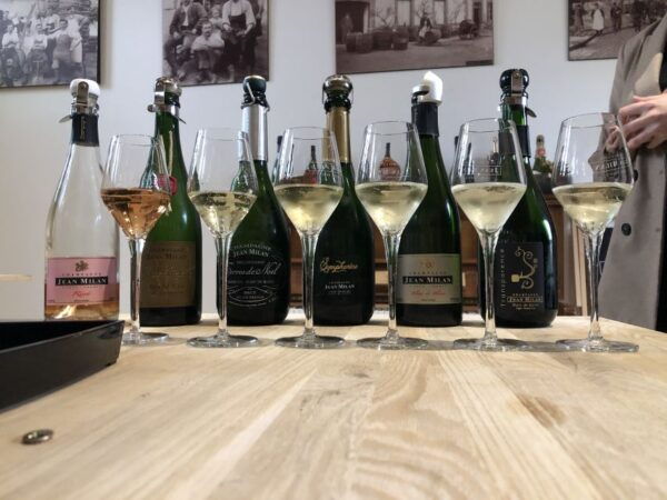 From Reims/Epernay: Private Gold Champagne Tasting Tour - Common Questions