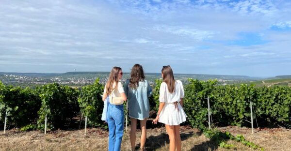 From Reims/Epernay : the Connaisseurs With 9 Tastings (Am) - Landmarks and Scenic Views Along the Route