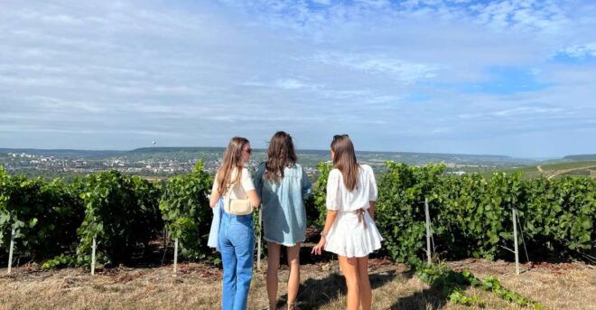 From Reims/Epernay Tour: the Connoisseurs With 9 Tastings - Exploring the Côte Des Blancs and Chardonnay Grand Cru