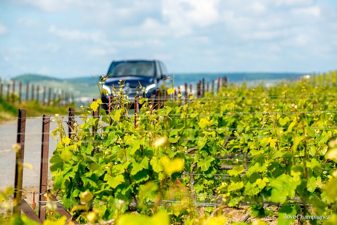 From Reims: Full Day Champagne Mumm, Family Growers & Lunch - Additional Info