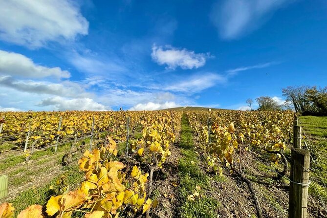 From Reims: Full Day Champagne Mumm, Family Growers & Lunch - Reviews