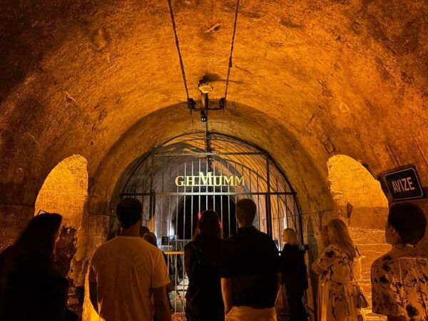 From Reims: Full Day Mumm, Family Growers With Lunch - Travel Tips for Visitors