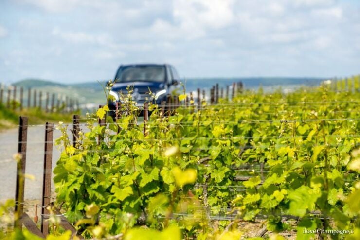 From Reims: Pommery Champagne Morning Tour & Tastings - Booking and Cancellation Details