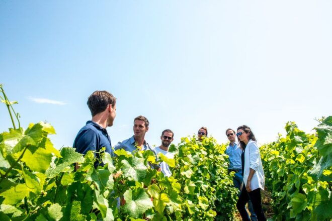 From Reims: Pommery Champagne Morning Tour & Tastings - Common Questions