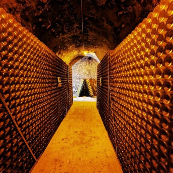 From Reims: Tour and Tasting at Veuve Clicquot Family Domain - The Sum Up