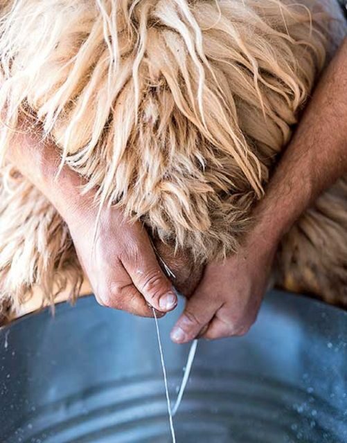 From Rethymno: Arkadi, Margarites, Sfendoni Cave, and Axos - Practical Considerations