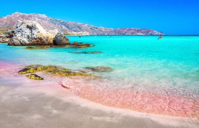 From Rethymno: Bus Trip to Elafonisi Beach - Booking Information