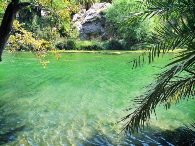 From Rethymno/Chania: Day Trip to Preveli Palm Beach - Review Summary and Customer Feedback