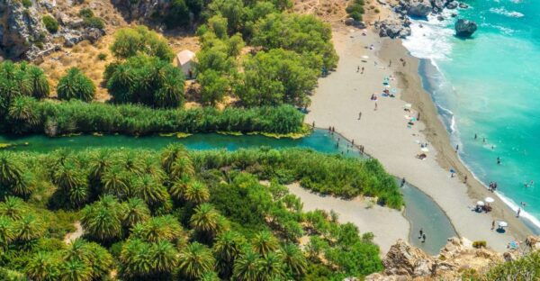 From Rethymno/Chania: Day Trip to Preveli Palm Beach - Additional Recommendations and Considerations