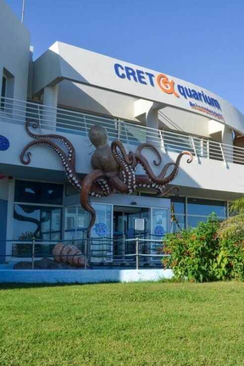 From Rethymno: Day Trip to Dinosauria Park and Cretaquarium - Pricing and Booking Information