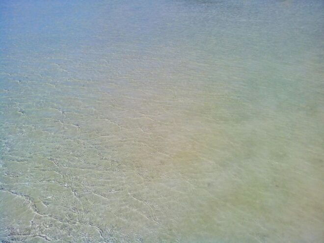 From RETHYMNO: Day Trip to ELAFONISI - Important Reminders