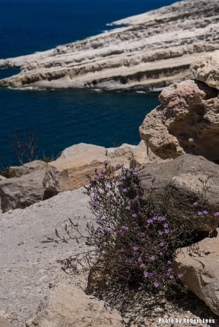 From Rethymno: Day trip to MATALA - AG.GALINI - SPILI - What Makes This Tour Stand Out?