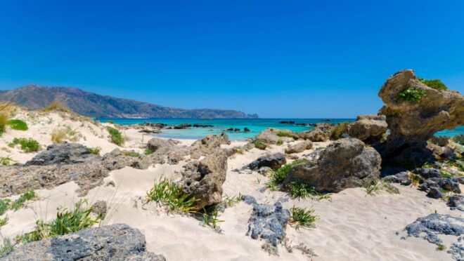 From Rethymno: Elafonisi Pink Sand Beach W/ Transfer - Itinerary