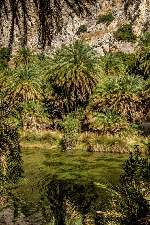 From Rethymno: Exotic Preveli Palms, Damnioni & Plakia Beach - Who Is This Tour Best For?