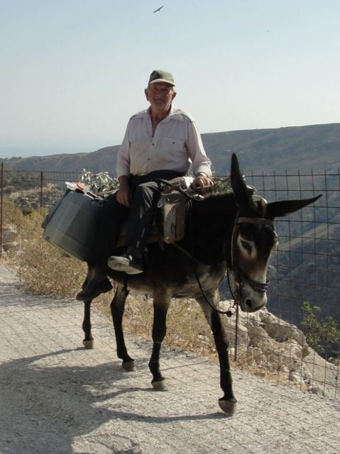 From Rethymno: Full-Day Land Rover Safari to Preveli - Tour Details