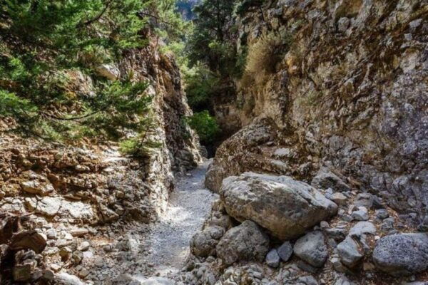 From Rethymno: Imbros, Fragkokastello, Plakias, Monastery of Preveli - Important Reminders