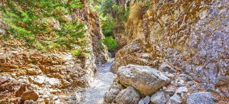 From Rethymno: Imbros Gorge & Libyan Guided Sea Tour - Activity Details