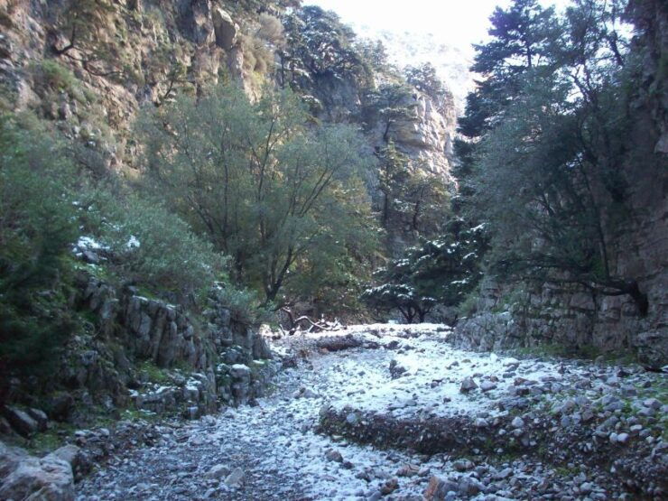 From Rethymno: Imbros Gorge & Libyan Guided Sea Tour - Experience Highlights