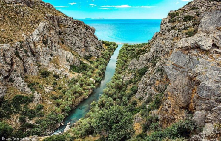 From Rethymno: Preveli Palm Forest, Damnoni and Plakias Tour - Itinerary Details