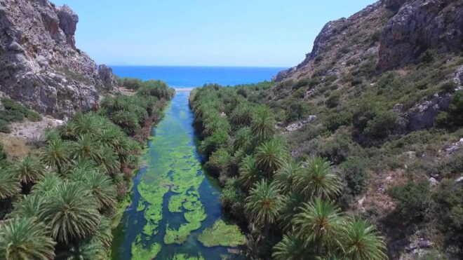 From Rethymno: Preveli Palm Forest, Damnoni and Plakias Tour - Main Stops and Activities