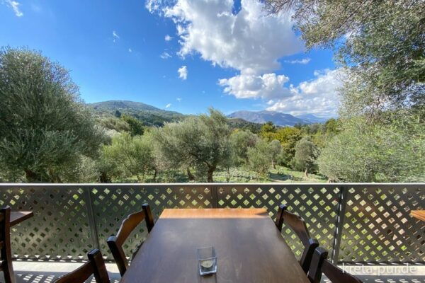 From Rethymno: Preveli Palm Forest, Damnoni and Plakias Tour - Included Services and Exclusions