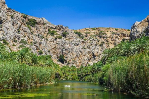 From Rethymno: Preveli Palm Forest, Damnoni and Plakias Tour - Customer Reviews and Feedback