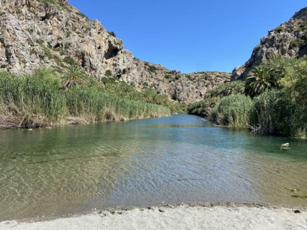 From Rethymno: Preveli Palm Forest Hike and Beach Day Trip - Optional Refreshment or Lunch