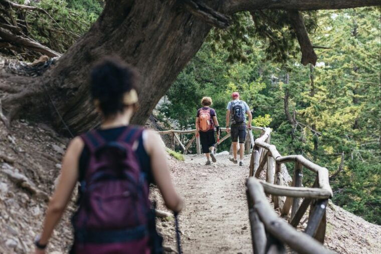 From Rethymno: Samaria Gorge Full-Day Trek, Pickup & Guide - Authentic Insights from Reviews