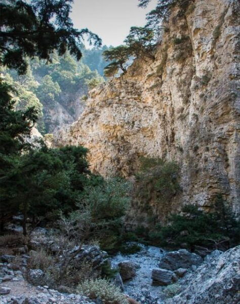 From Rethymno: Tour to Imbros-Frangokastelo-South Coast - Scenic Highlights